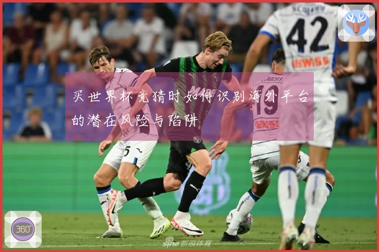买世界杯竞猜时如何识别海外平台的潜在风险与陷阱