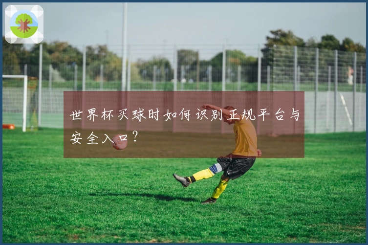世界杯买球时如何识别正规平台与安全入口？